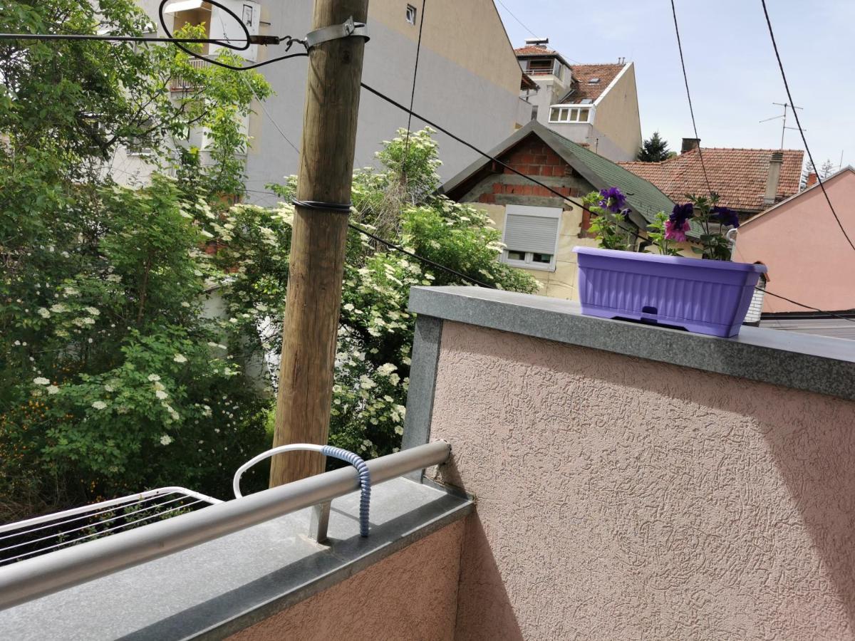 Apartmani Milica Kruševac Exterior foto